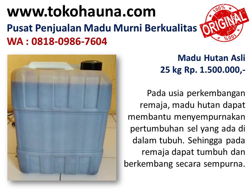 Grosir madu asli curah, distributor madu curah di Bandung wa : 081809867604 Jenis-madu-hutan-liar