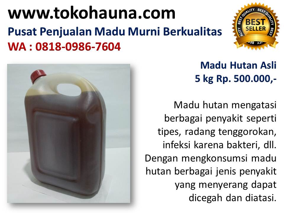 Madu murni untuk asam lambung, agen madu odeng di Bandung wa : 081809867604 Jual-madu-hutan
